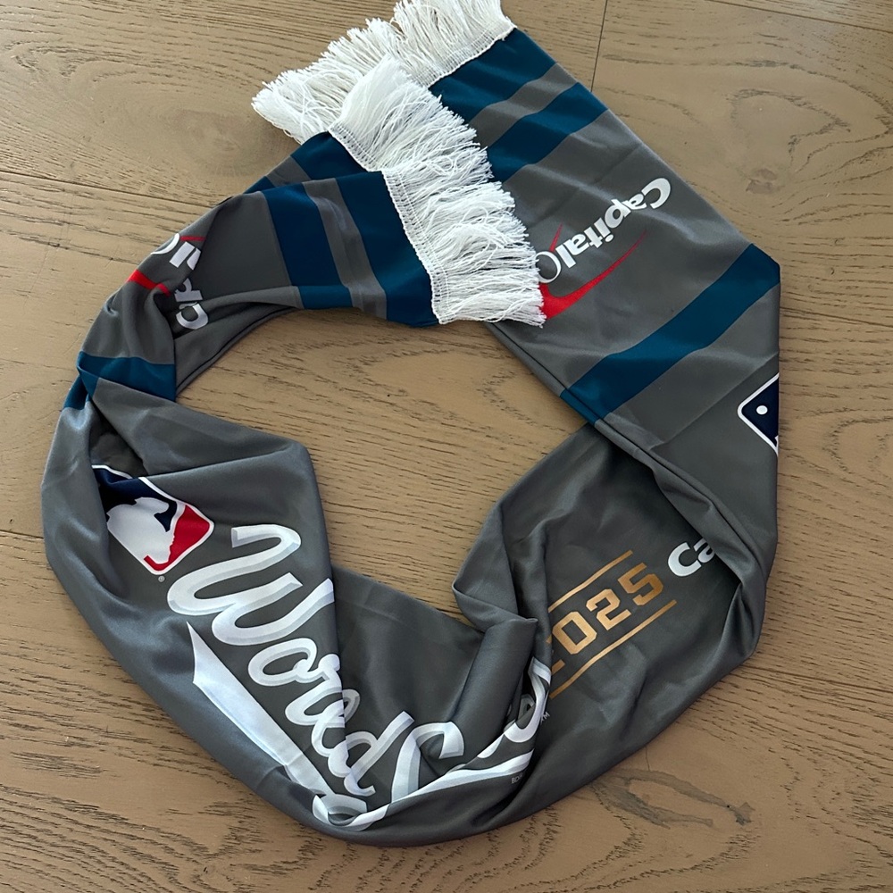 Gray and Blue Women's Scarf